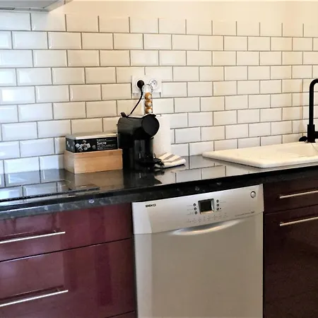 5 Mn Zenith Grande Halle Auvergne,pied De Gergovie,garage,netflix Appartement Romagnat