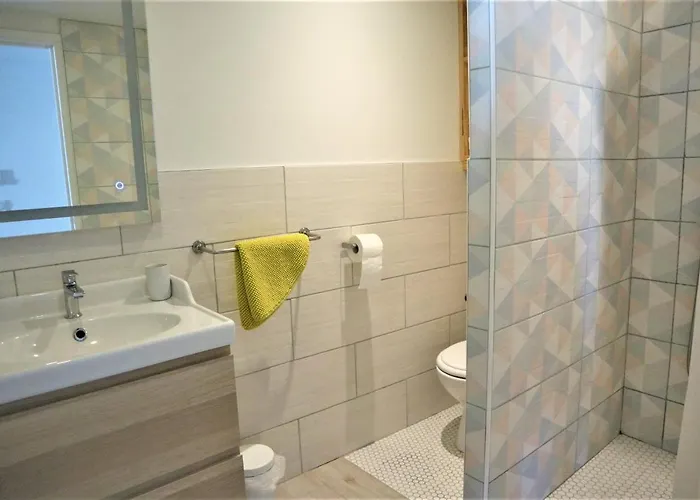 5 Mn Zenith Grande Halle Auvergne,pied De Gergovie,garage,netflix *