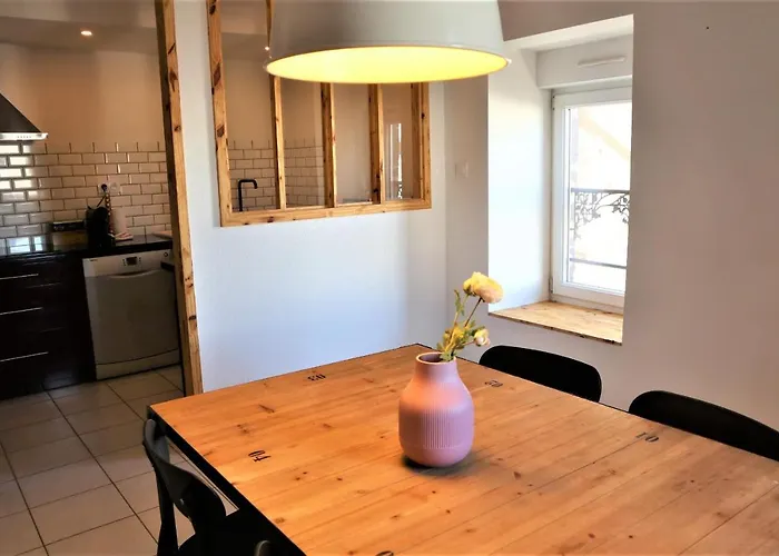 5 Mn Zenith Grande Halle Auvergne,pied De Gergovie,garage,netflix Apartment Romagnat