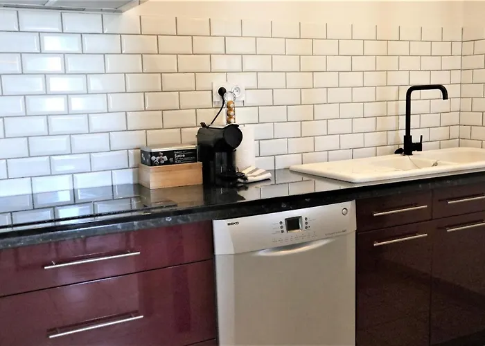 5 Mn Zenith Grande Halle Auvergne,pied De Gergovie,garage,netflix Apartment Romagnat