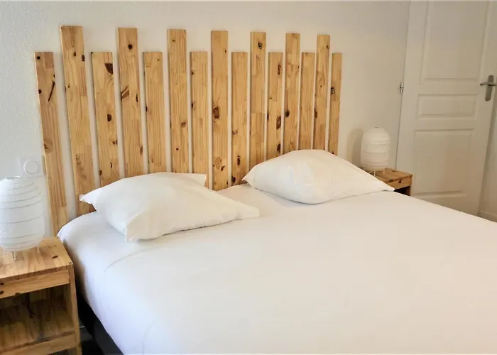 5 Mn Zenith Grande Halle Auvergne,pied De Gergovie,garage,netflix Romagnat